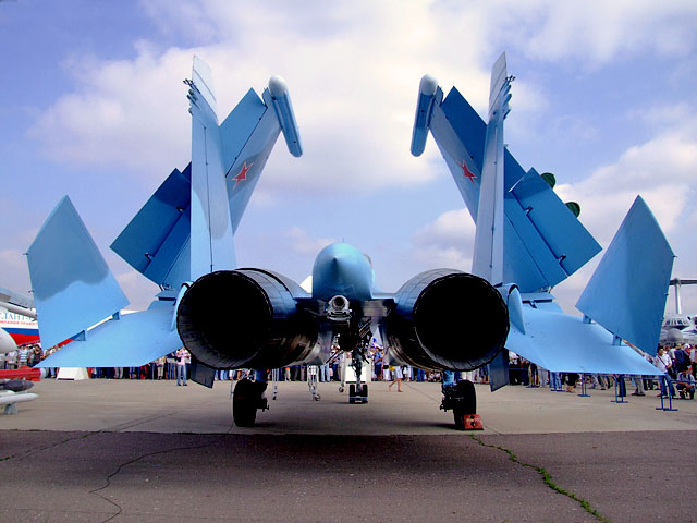 Maquetas hechas - Su 33 Flanker D Vista trasera replegado