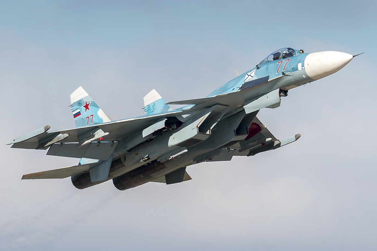 Maquetas hechas - Su 33 Flanker D Vista lateral
