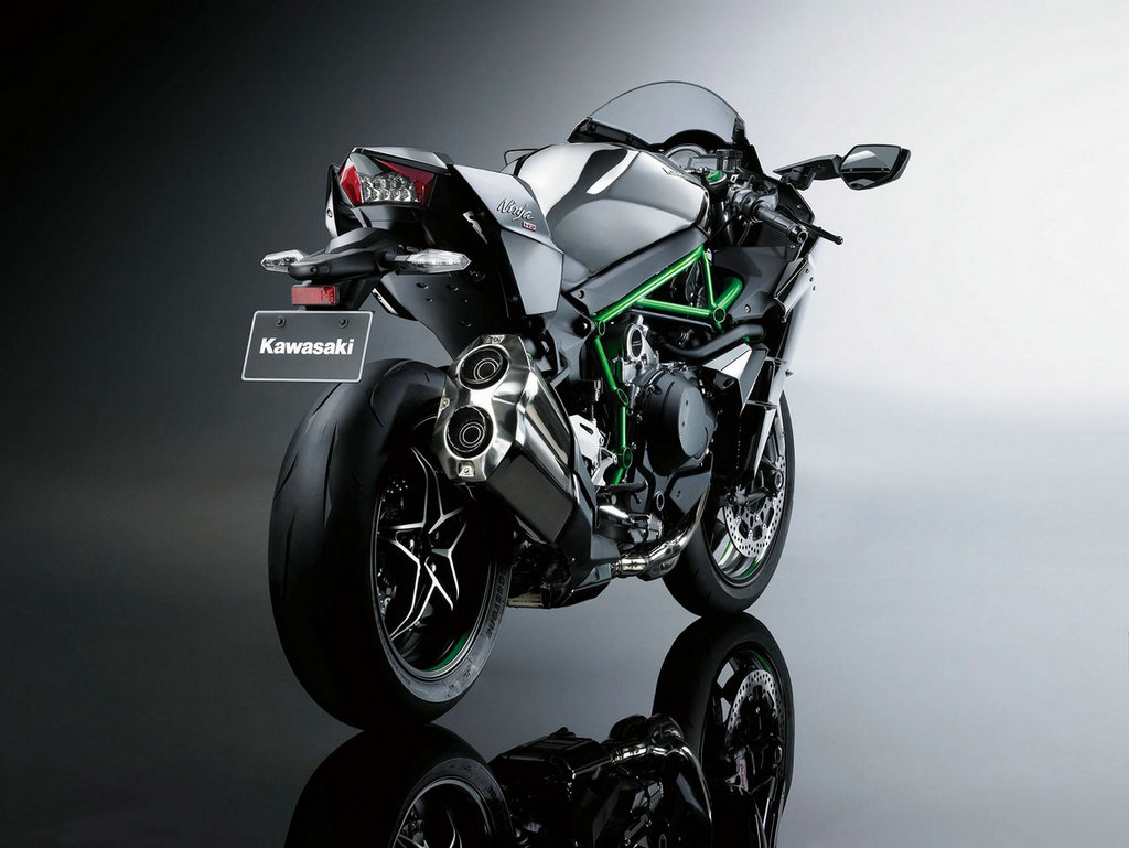 Maquetas hechas - Kawasaki Ninja H2 Carbon Vista trasera