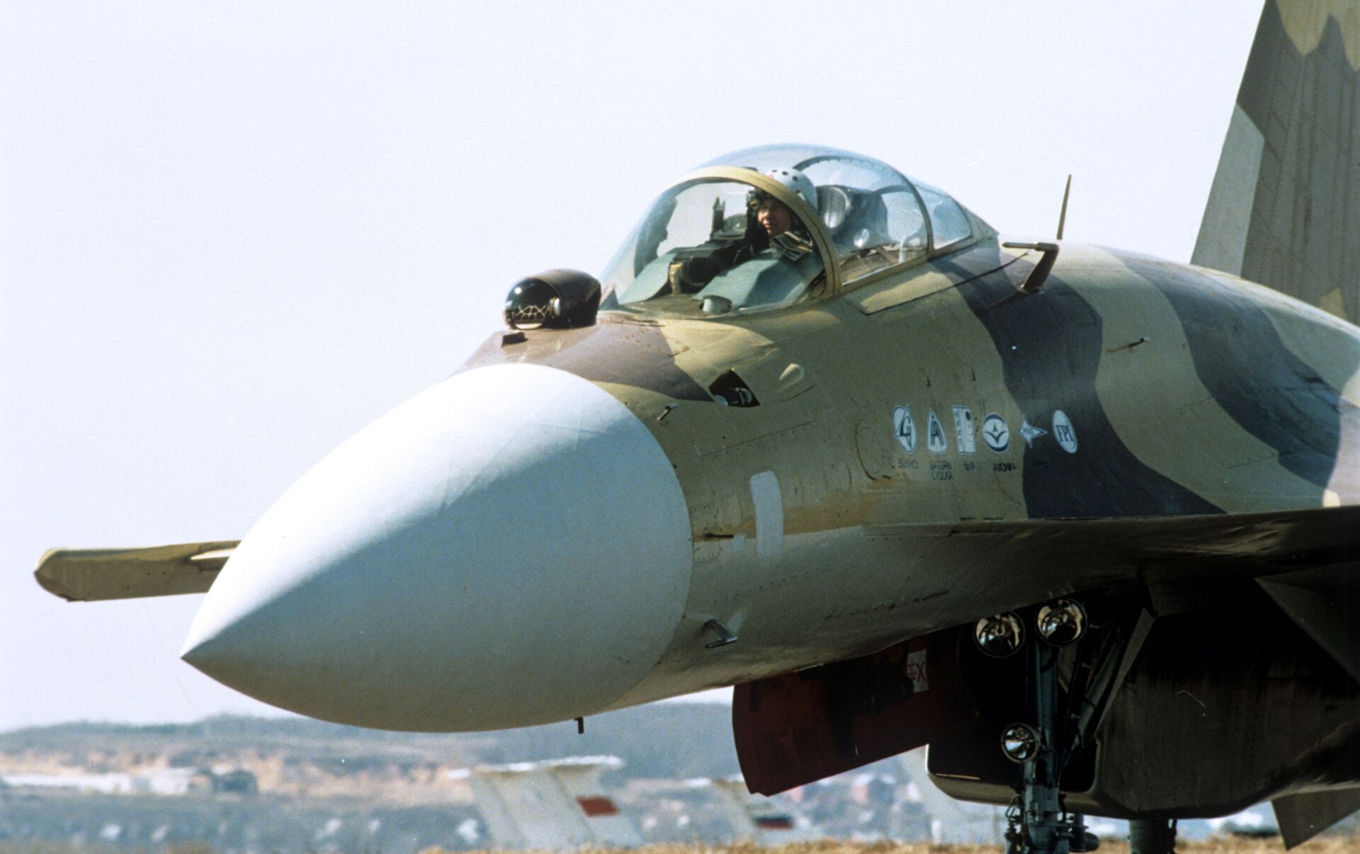 Maquetas hechas - Sukhoi Su-37 Vista frontal